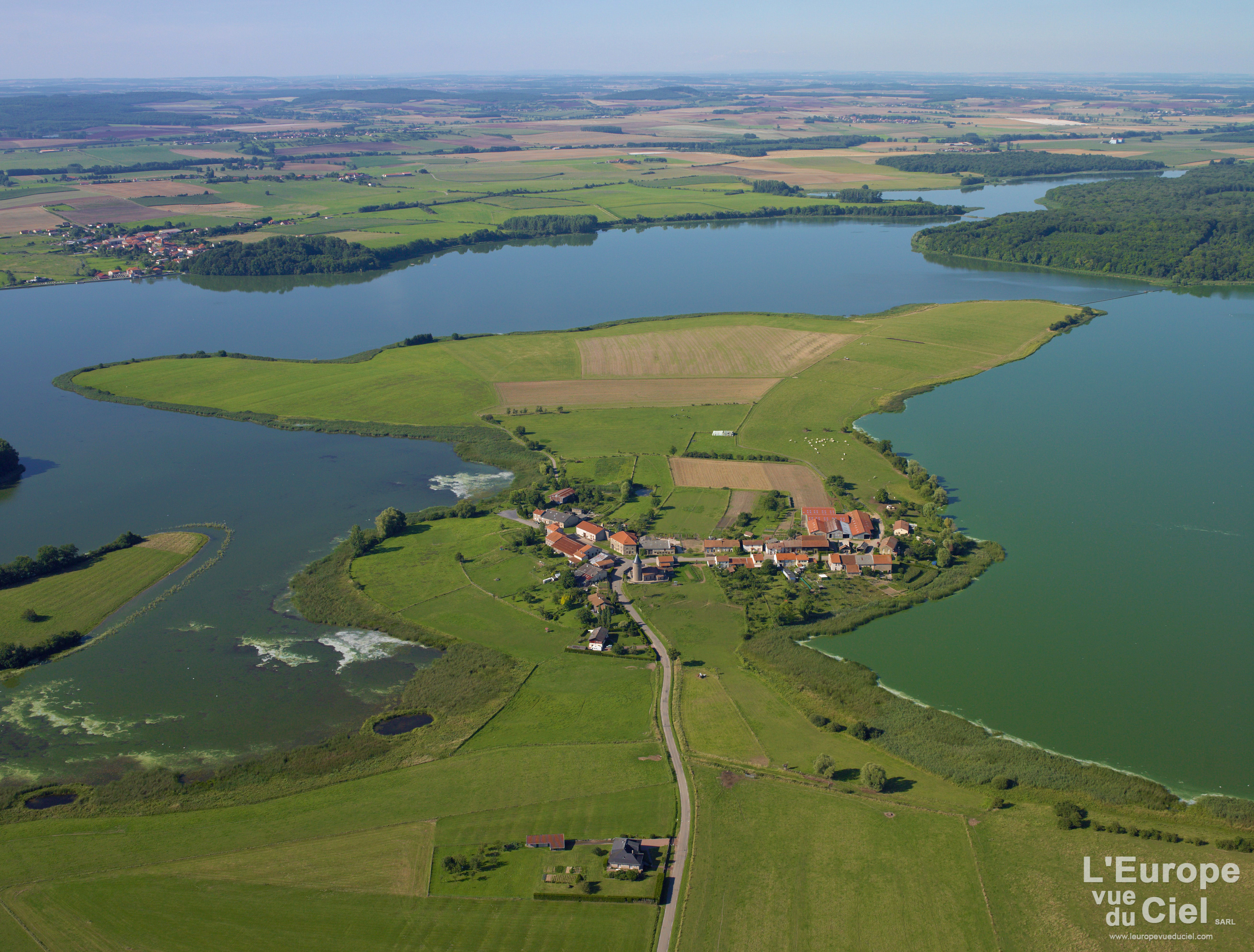 Tarquimpol (Moselle)